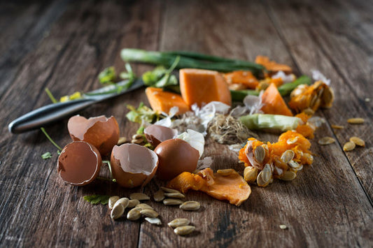 Food Waste Holds Immeasurable Power